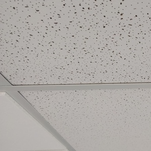 Team Page: Ceilings Lab